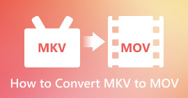 Convert MKV Files to MOV