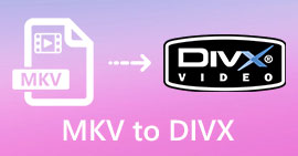 mkv to divx converter